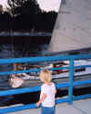 Anna_Sailboat_Aug03.jpg (57154 bytes)