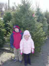 Dec03_KidsChristmasTree.jpg (113032 bytes)
