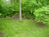 NewBackyard.jpg (134367 bytes)