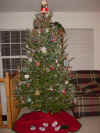 OurTree2002.jpg (81044 bytes)
