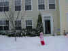 Snow8.jpg (82203 bytes)
